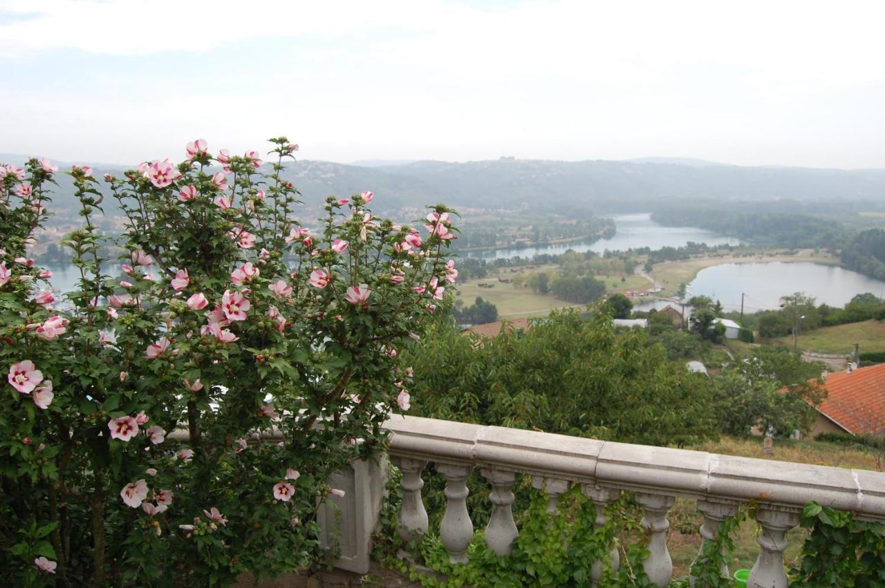 Villa Panoramique Saint-Clair-du-Rhone Экстерьер фото